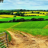 Buy canvas prints of Outdoor field by keith sutton