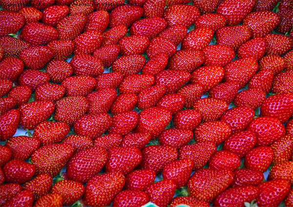 strawberries Picture Board by keith sutton