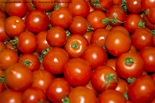 tomatoes aplenty Picture Board by keith sutton