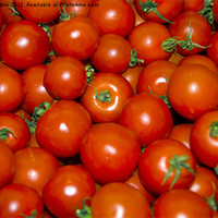 Buy canvas prints of tomatoes aplenty by keith sutton