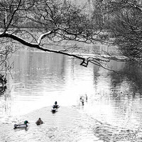 Buy canvas prints of winters pond by keith sutton