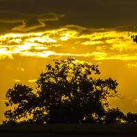 Buy canvas prints of  golden sky by keith sutton