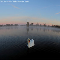 Buy canvas prints of Swan on the pond by Martin Billard