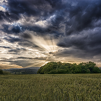 Buy canvas prints of  The setting sunrays by Andrew Richards