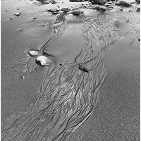 Buy canvas prints of  Patterns in the sand by Andrew Richards