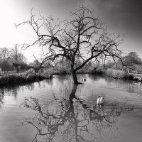 Buy canvas prints of A natural reflection by Andrew Richards
