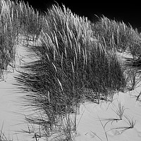 Buy canvas prints of Sand dunes by Andrew Richards