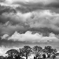 Buy canvas prints of Cloudy Treeline by Andrew Richards