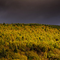 Buy canvas prints of Autumn in Cwmcarn by Andrew Richards