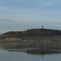 Buy canvas prints of Scrabo Tower by Noreen Linale