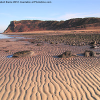 Buy canvas prints of Bracken Bay beach by Campbell Barrie