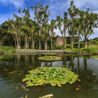 Buy canvas prints of Logan Botanic Gardens by Campbell Barrie