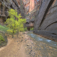 Buy canvas prints of The Narrows by Glenn Barclay