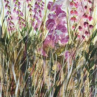 Buy canvas prints of Foxgloves in the Wind by Penelope Hellyer