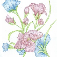 Buy canvas prints of Blue & Red crayon flowers by Penelope Hellyer