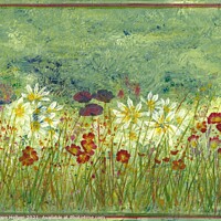 Buy canvas prints of Daisy Meadow by Penelope Hellyer