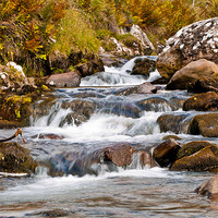 Buy canvas prints of Rushing Waters by Bernard Fitzgerald