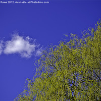 Buy canvas prints of lone Cloud by Heather Rowe