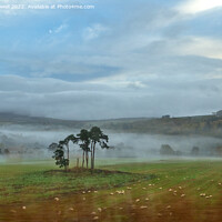 Buy canvas prints of Misty View by Hazel Powell