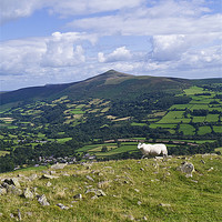 Buy canvas prints of View of Sugar Loaf by Hazel Powell