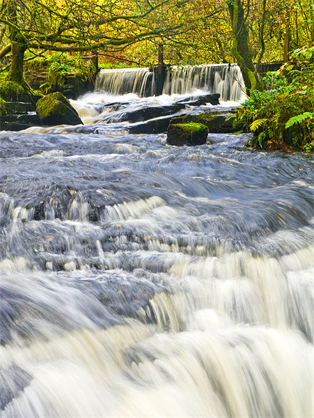 Waterfall, Garwnant Forestry Centre Picture Board by Hazel Powell