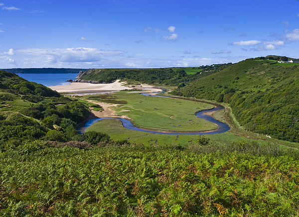 Three Cliffs Bay view Picture Board by Hazel Powell