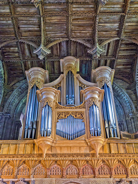  St Davids Cathedral Organ Picture Board by Hazel Powell