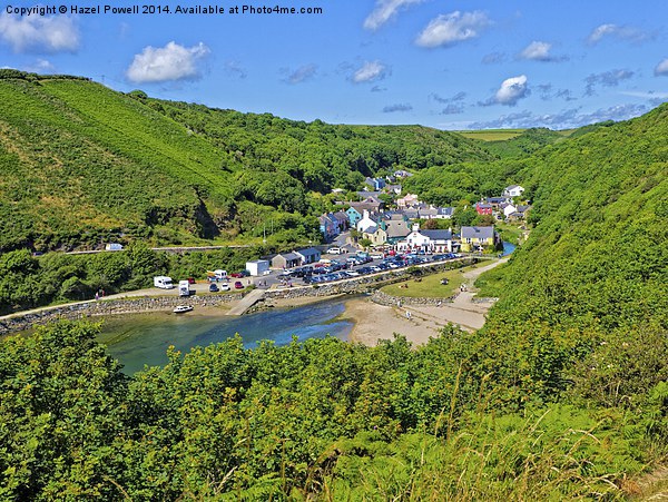 Lower Solva and Harbour Picture Board by Hazel Powell