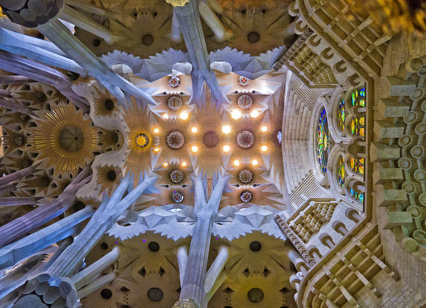  Ceiling found in La Sagrada Familla, Barcelona Picture Board by Hazel Powell