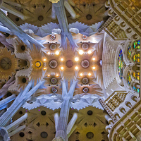 Buy canvas prints of  Ceiling found in La Sagrada Familla, Barcelona by Hazel Powell