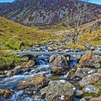 Buy canvas prints of  Cadair Idris by Hazel Powell