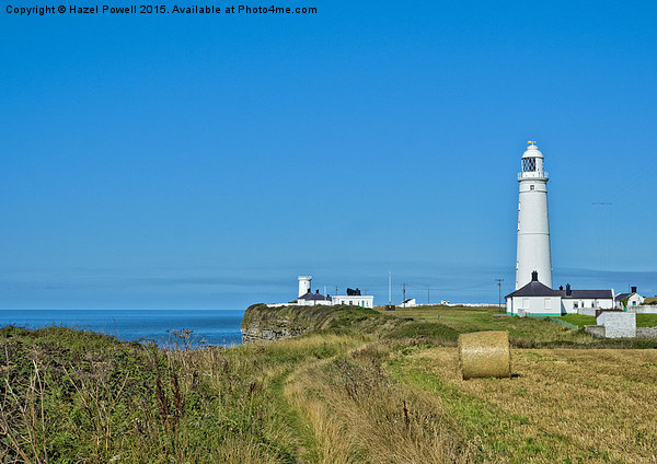  Nash Point Lighthouse Picture Board by Hazel Powell