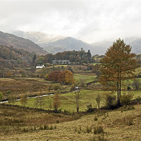 Buy canvas prints of View of Elterwater by Martin Kemp Wildlife