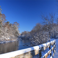 Buy canvas prints of Winter path and winter brook. by Albert Gallant