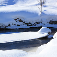 Buy canvas prints of Shades and shapes of winter. by Albert Gallant