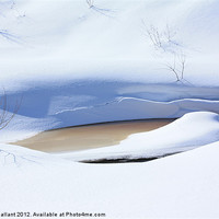 Buy canvas prints of Nature of Winter by Albert Gallant