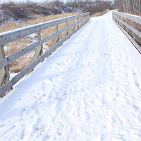 Buy canvas prints of Snow covered path. by Albert Gallant