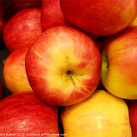 Buy canvas prints of Apples by Albert Gallant