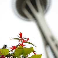 Buy canvas prints of Flowers with Space Needle by Jon Kondrath