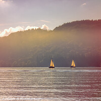 Buy canvas prints of Sunset Sailing by Mark Battista