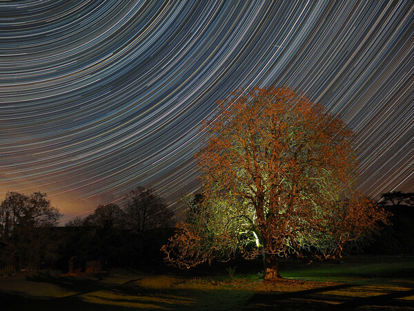 Star trail with lit tree Picture Board by mark humpage