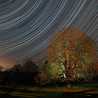 Buy canvas prints of Star trail with lit tree by mark humpage