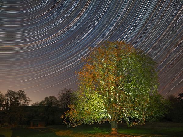 Spinning startrail and Meteor Picture Board by mark humpage