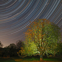 Buy canvas prints of Spinning startrail and Meteor by mark humpage