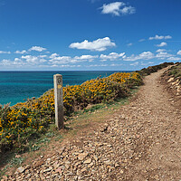 Buy canvas prints of Cornwall sea and coast path by mark humpage