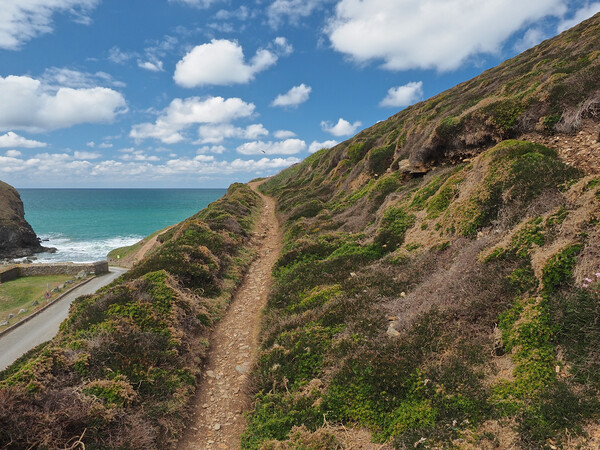 Coast path to heaven Picture Board by mark humpage