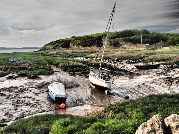 Boats sitting in Clevedon harbour mud at low tide Picture Board by mark humpage