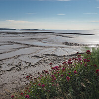 Buy canvas prints of Clevedon Somerset low tide mud by mark humpage