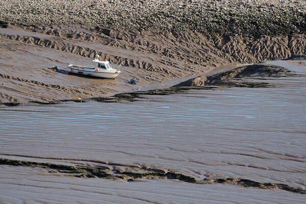 Clevedon boat at low tide Picture Board by mark humpage