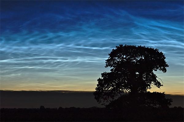 Noctilucent Magic Picture Board by mark humpage